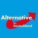 Alternative für Deutschland AfD - Zentraler Infokanal