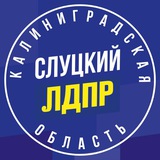 ЛДПР Калининград| 2024