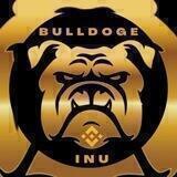 BULLDOGE INU
