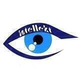 INTELLEKT🌍