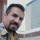 •[مشاور برتر]•