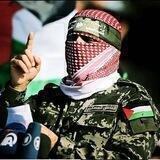 عنان ابو عمشة /صحفي