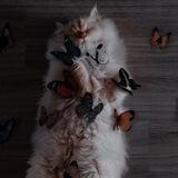 فَأطِم🌿🕊