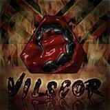 ALBUM'S VILSCOR