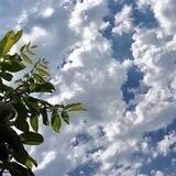 ستُجبر🦋.