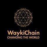 WaykiChain 2022 World Cup