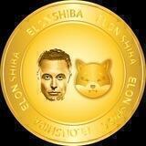 Elon Shiba | New 1000X