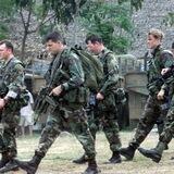 Seals and Marines Movies & TV Shows