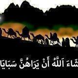 الشاعرة أم محمد الحِجِّاج