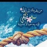 🌸°• صُحبَةُ الجَنَّة •°🌸