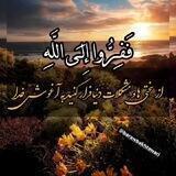 🌼بەرەو بەختەوەری🌼
