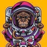 SPACE MONKEY