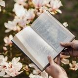 Loving books 📚