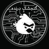 گنجشک درنده
