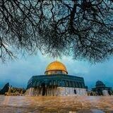 أثير الفوائد