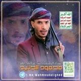 الشاعر محمود الجنيد