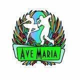 «AVE_MARIA» театр танца и эстетического развития