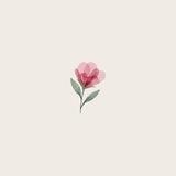 Обзор детских книг 📚