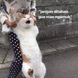 ㅤㅤㅤㅤㅤㅤㅤㅤ
