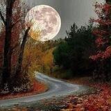 سِرَاج الليل🌕
