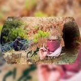 اخبار ٱلمقاتل𓂆.