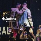 Wantons | وانتونز
