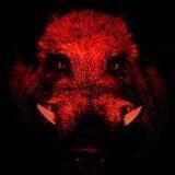 Redboar 🐗 Vids and Memes archives.