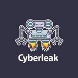 Cyberleaked
