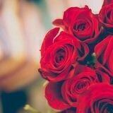 قَتيِل العَبرات🕊♥️