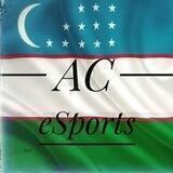 AC eSports chat