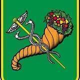 Харківська міська рада