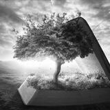 James Wickstrom Archive