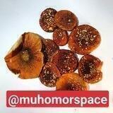 Отзывы о мухоморах Muhomorspace