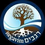 תנועת רגבים מעדכנת