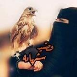 ✨ قٌصيدِ شُيهـآنهـ ✨