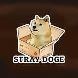 Stray Doge Entry Portal