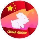 PET HUB | Chinese