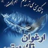 ارغوان
