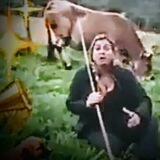 Rural foro