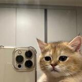 Arian_CS
