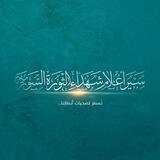 ✍ سير الشهداء