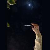 Sᴇʟᴇɴᴏᴘʜɪʟᴇ 🌙