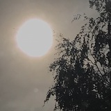ЖИВОЙ ИССЛЕДОВАТЕЛЬСКИЙ ИНТЕРЕС