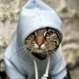 МЕГА МЕГА МЕГА МЕГА МЕГА МЕГА МЕГА МЕГА МЕГА МЕГА МЕГА МЕГА ЛУЧШИЕ ДРУЗЬЯ