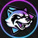 DeFi Raccoons 🦝 The Biggest DeFi & NFT Community