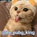 KING-MOD™FILES SET UP