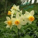 ملازمان ظهور