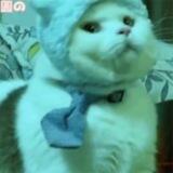 朵拉中部外約line：52582 喝茶外約按摩舒壓