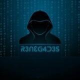 RENEG4DES