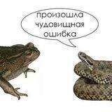 гомопропаганди